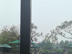 -静之湖湖畔餐厅