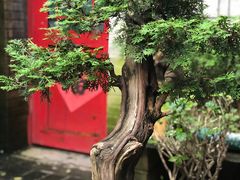 -老张烤羊(王哥庄店)