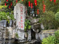 -广州市流溪河国家森林公园