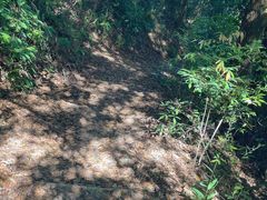 -阳台山森林公园