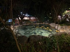 -湖泉半山温泉(湖泉生态园)