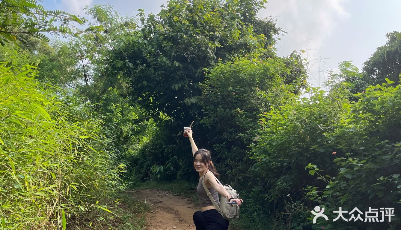 梅林山郊野径｜无楼梯爬山