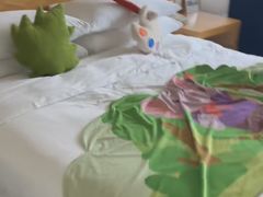 -上海外滩豫园万丽酒店