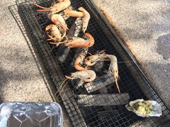 -吴淞炮台湾湿地森林公园烧烤区