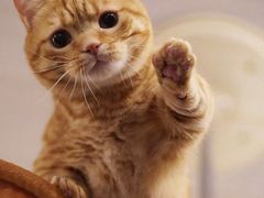 -星巴克臻选(济南万达店)