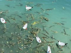 -青海湖二郎剑景区