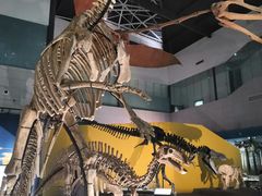 -湖南省地质博物馆