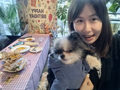 -百好乐宠物友好餐厅(朝外大街店)