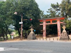 -奈良公园