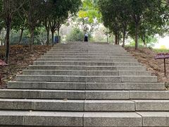-牛岗山公园