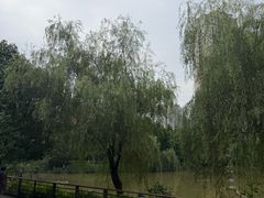 -沐仙湖湿地公园