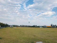 -春花秋色城市公园