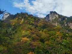 -青峰峡国家森林公园