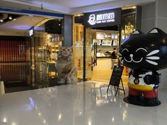 -藏猫猫咖啡主题馆(中央大道店)