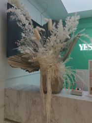 -YESIDO椰岛美容