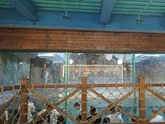 -海合安青岛极地海洋公园