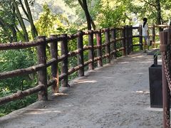 -少华山国家森林公园