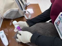 -美联众合动物医院·24h京西诊疗中心