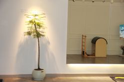 -闺蜜瑜伽·普拉提女性塑形馆