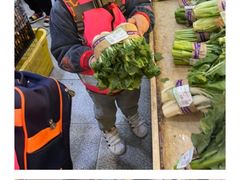 -金点蒙氏国际教育(悠然校区)