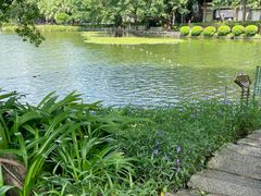-荔湾湖公园
