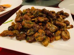 -西安赛瑞喜来登大酒店