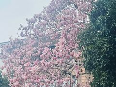 -十里琅珰
