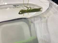 -上海昆虫博物馆