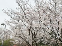 -白塘生态植物园