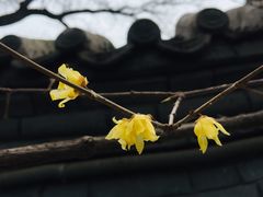 -宣武艺园