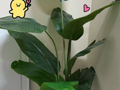 -艺味深尝(云锦路店)