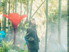 -龙湾潭国家森林公园