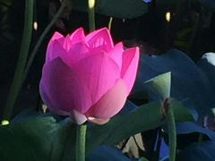 -北海公园-停车场