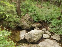 -王顺山国家森林公园