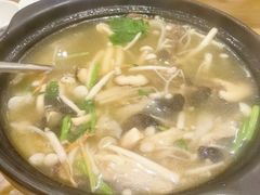 招牌山珍煲-悠悠美食