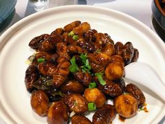 板栗烧蚕蛹-宏达老菜馆(东安街店)