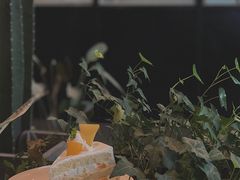 芒果凤梨奶油戚风-咖啡·湖(德清店)