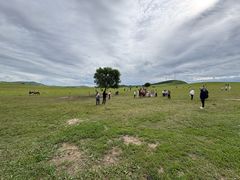 -御道口草原森林风景区