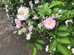 -南京航空航天大学(明故宫校区)