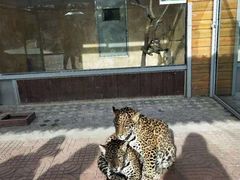 -西霞口神雕山野生动物世界