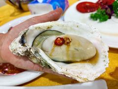 -蚝专家(北滘店)