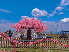 -龙里油画大草原旅游区