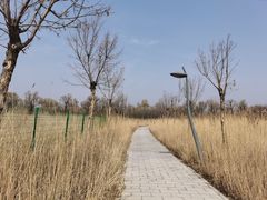 -野鸭湖国家湿地公园