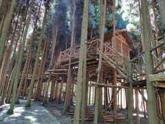 -武陵山森林公园