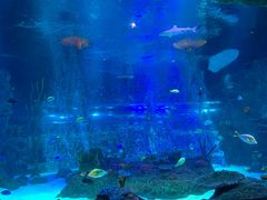 -沈阳海洋探索中心