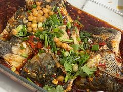 -风鑫铃罗非鱼(道沟店)