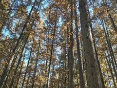 -南京金牛湖风景区