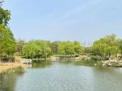 -贡湖湾湿地公园