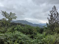 -北京西山国家森林公园