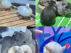 -海合安青岛极地海洋公园